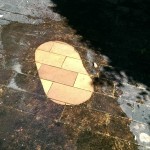 High pressure cleaning to remove black mold from pavers.