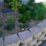 Body corporate herb garden